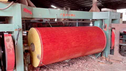 ¿Cómo elegir una máquina peladora de chapas?