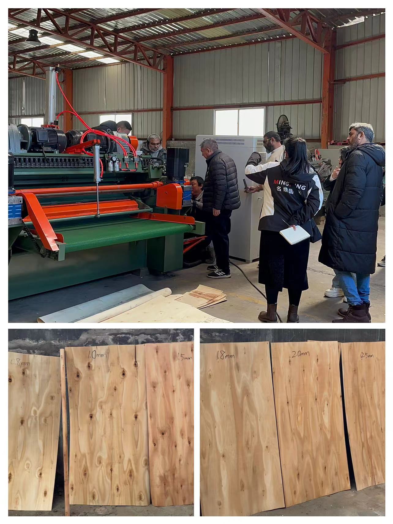 Clientes de Asia que comprueban la fábrica MingDing D-tech